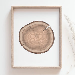 Impression d'anneaux d'arbre, affiche d'art de souche d'arbre, dessin en coupe transversale du bois, forêt botanique, décoration de cabane rustique, art mural boisé, impression par la poste