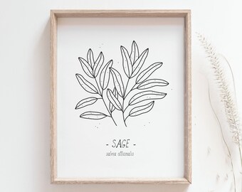 Impression de sauge - Affiche d'herbes de cuisine, Herbes culinaires, Décor de cuisine, Art noir et blanc, Dessin au trait simple, Affiche de décor à la maison, MAILED PRINT