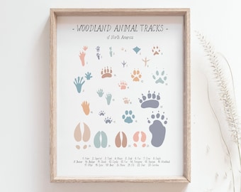 Animal tracks print - North America woodland animals paw prints poster, Wilderness track guide, Forest art, Playground poster, MAILED PRINT