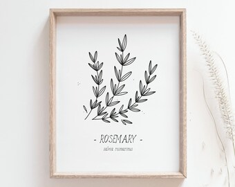 Impression de romarin - Affiche d'herbes de cuisine, Herbes culinaires, Décor de cuisine, Art noir et blanc, Dessin au trait simple, Affiche de décor à la maison, MAILED PRINT