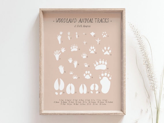 Lot de tampons avec traces d'animaux - pour empreintes en bois pour petits enfants, matériaux artisanaux pour les activités d'album de découpes, outils d'apprentissage d'âge préscolaire, prix i