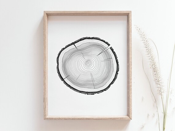 Etsy tree ring online