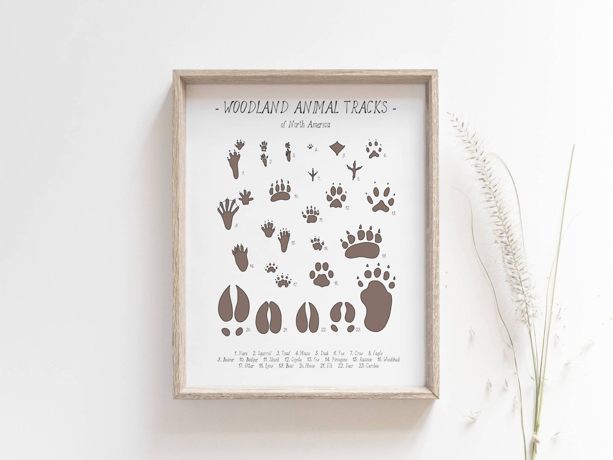 Woodland Tracks Hanging Poster, Canvas Artwork Woodland Nursery Decor 16x20