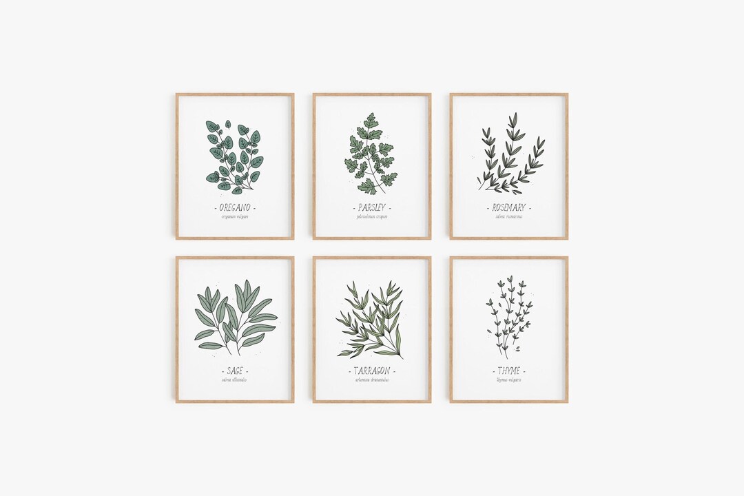 Kitchen Herbs Print Set - Set of 12, Culinary Herbs Poster Set, Kitchen ...