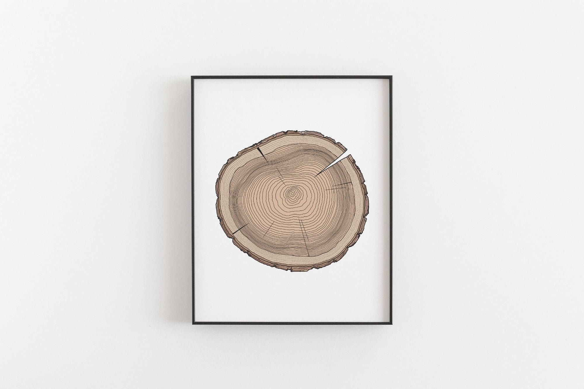 Tree Ring Print, Tree Stump Art Poster, Wood Cross Section Drawing ...