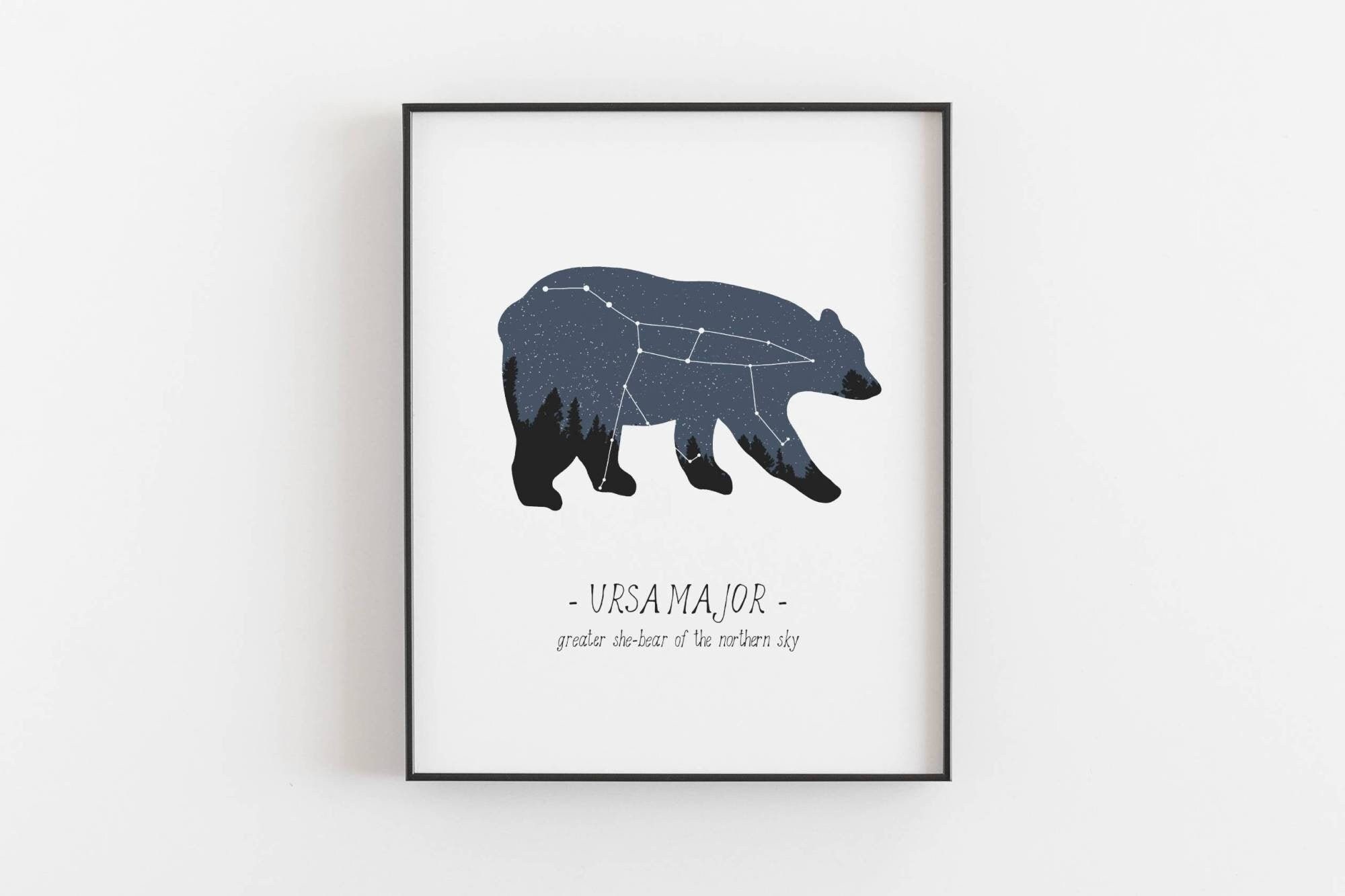 Ursa Major Bear