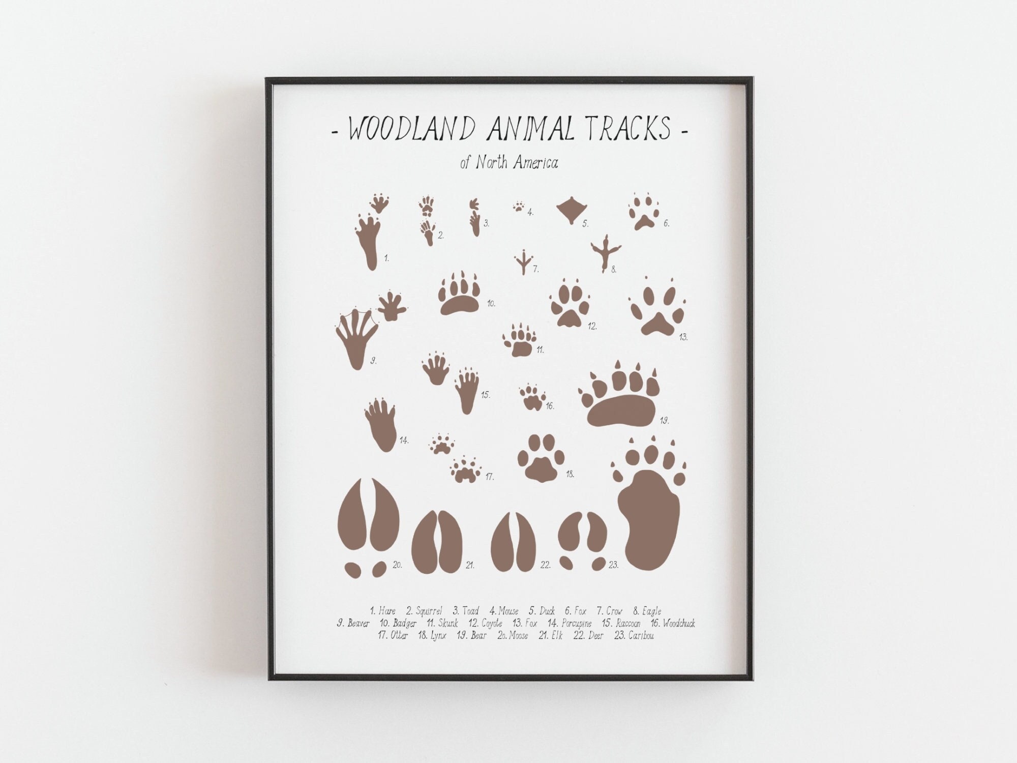 Poster - Animal Tracks of the Sierra Nevada