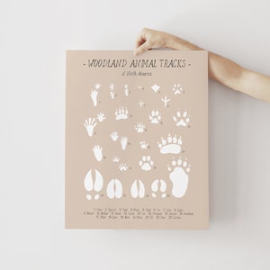 Animal tracks print Woodland animals paw prints poster, Wilderness track guide, Woodland wall art, Educational poster, DIGITAL DOWNLOAD image 5