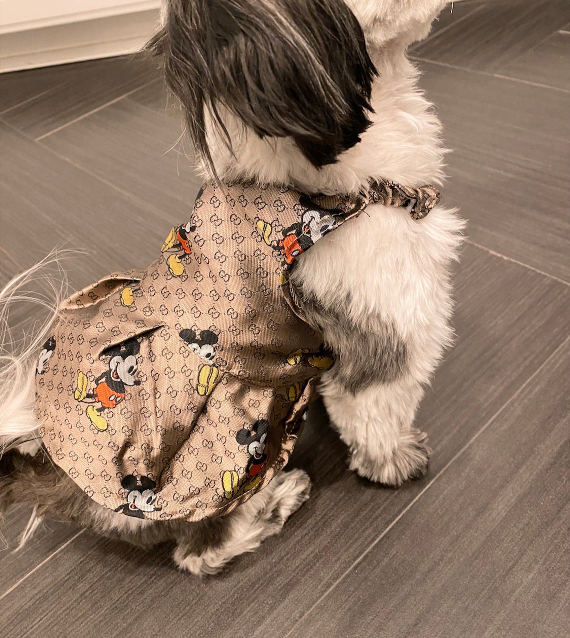 Mickey Gucci Inspired Dog Clothes Gucci vestido de perro Etsy