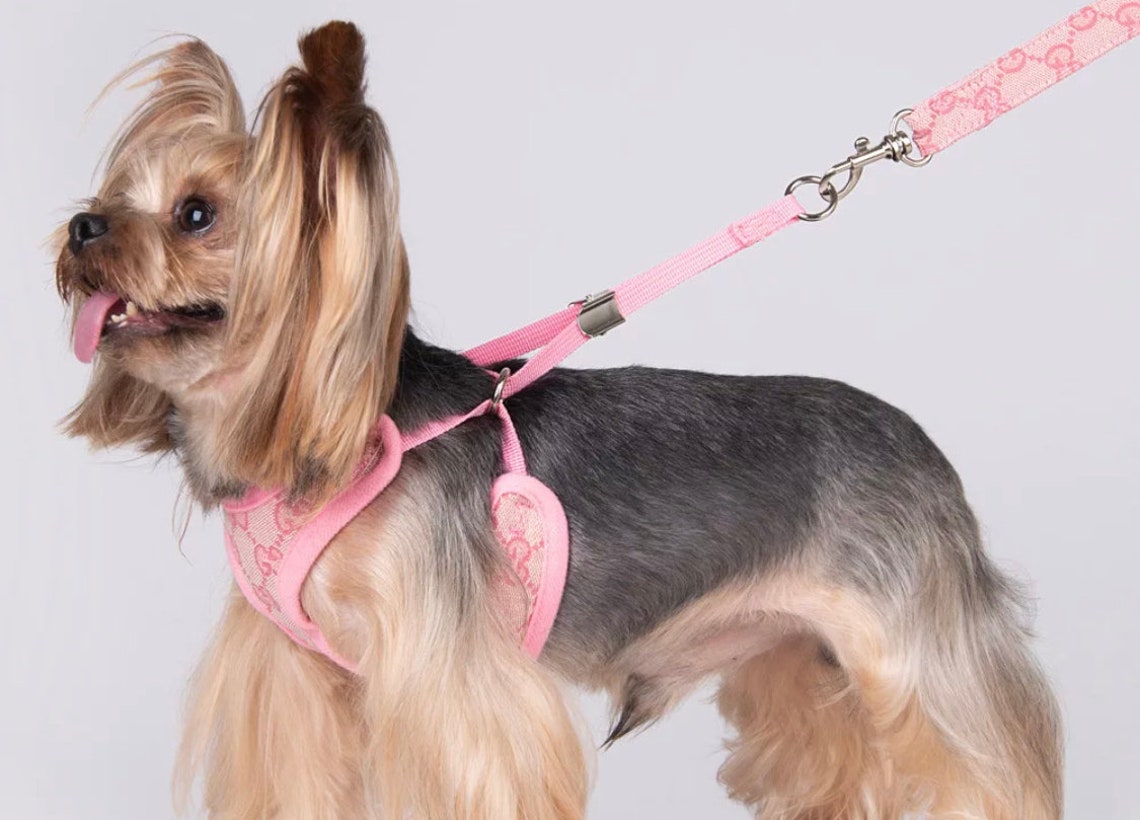 GG Gucci Inspired Luxury dog harness designer dog harness Etsy