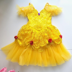 Yellow Princess dress for Girls | Halloween Costume | Fairy Tale Birthday  Party outfit | Rose Ball Gown for Toddler or Kid