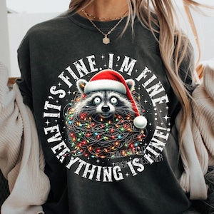 Es ist in Ordnung, mir geht es gut, alles ist in Ordnung, lustige Weihnachten PNG, lustige Waschbär Png, sarkastische Weihnachten Png, lustiges Shirt Png