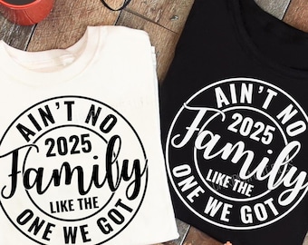 Ain't No Family Like The One We Got SVG, 2025 Family Reunion svg, Summer Quote Svg, Family, Summer Vacation Shirt Svg, Svg Files For Cricut
