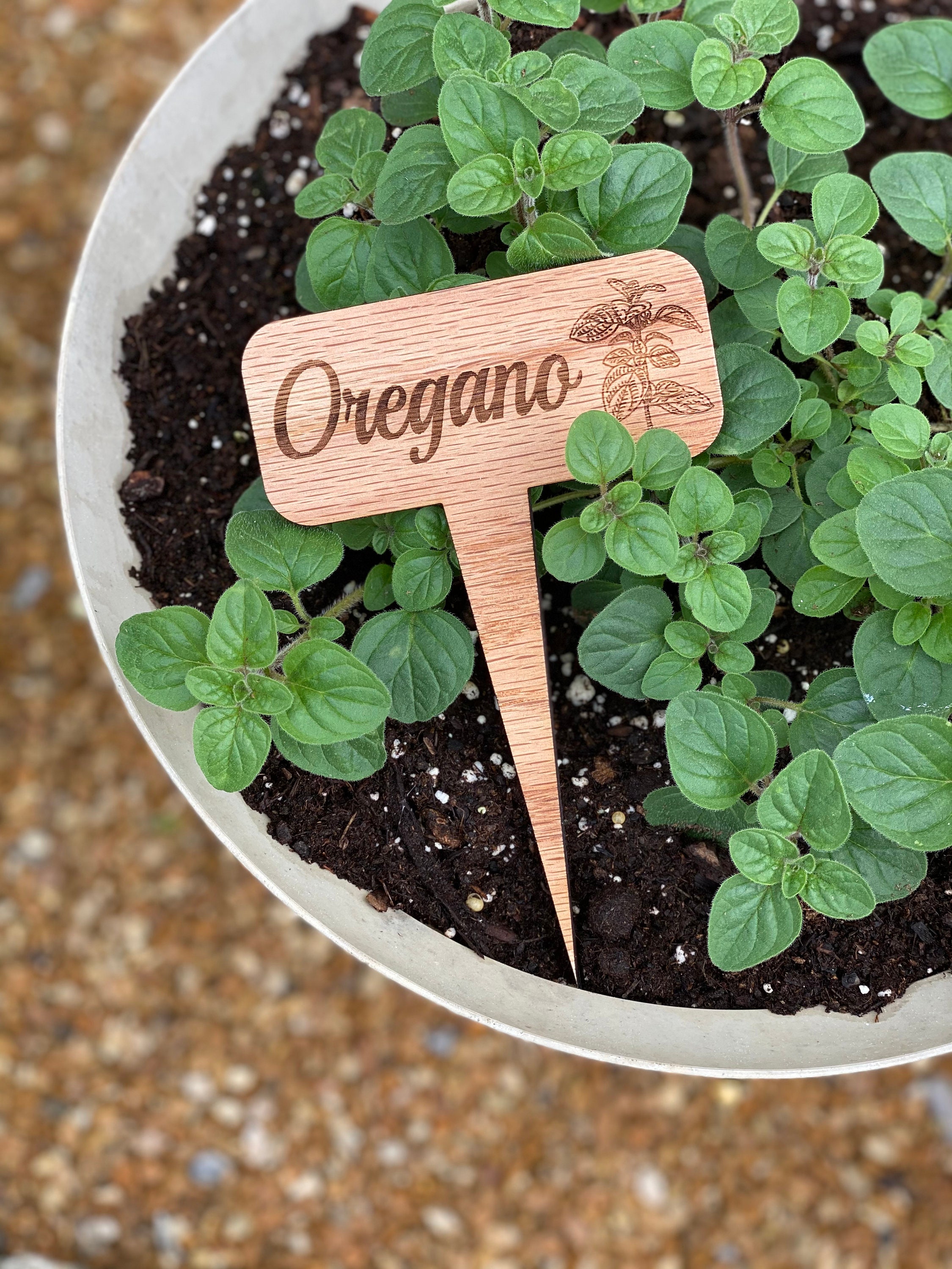 Garden Herb Stakes Etsy