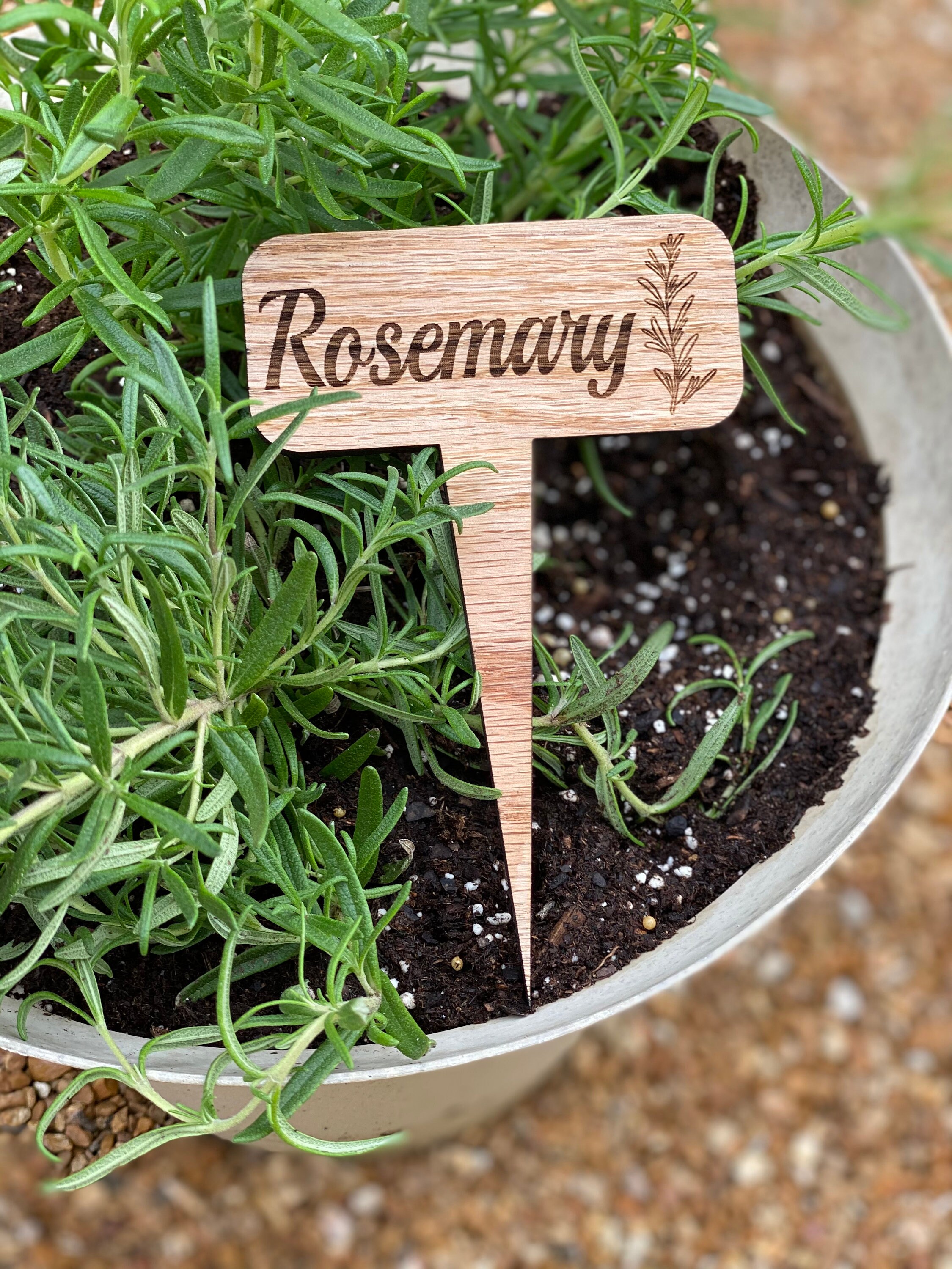 Garden Herb Stakes Etsy