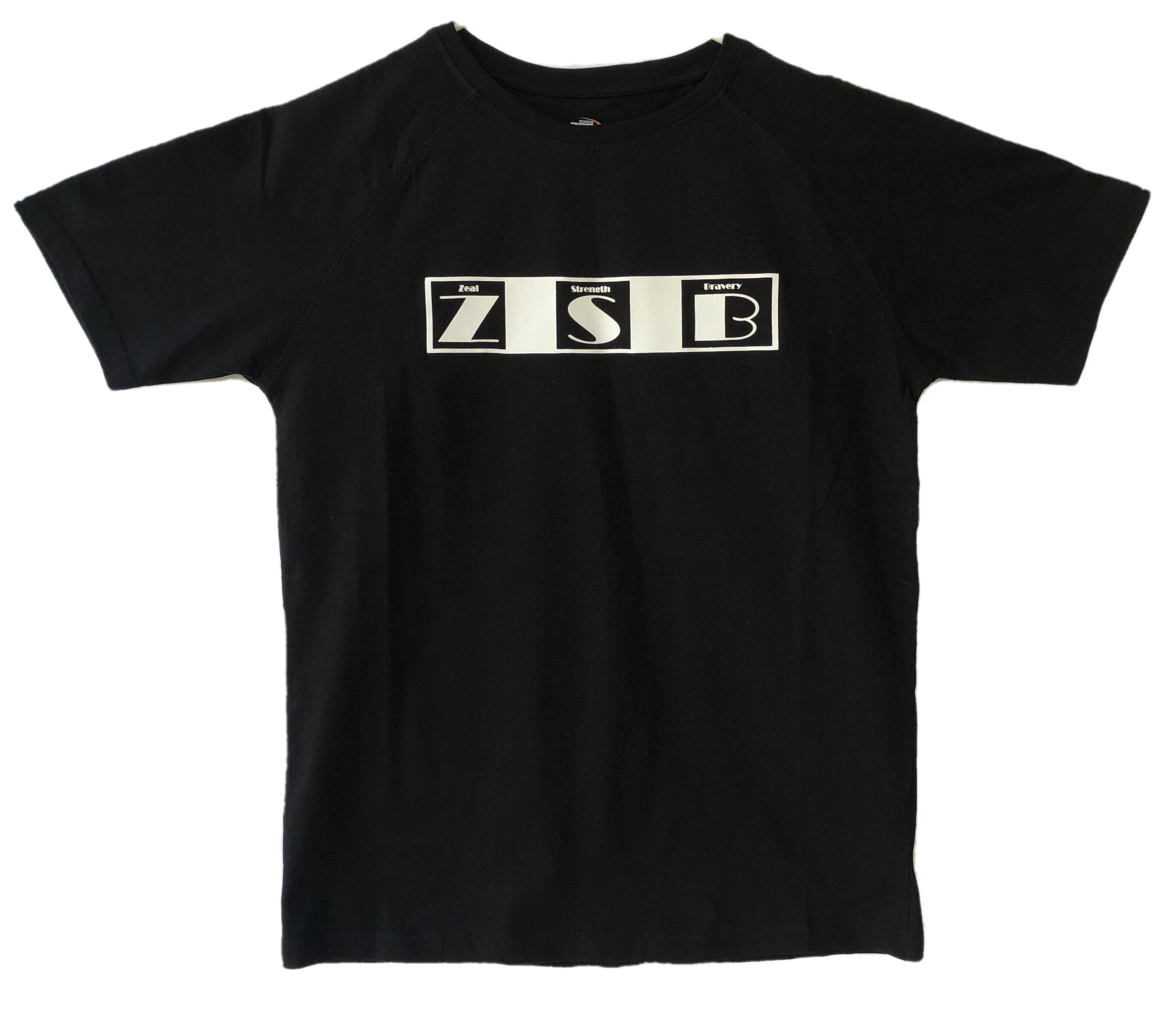 Raglan Crew Neck T Shirt Regular Fit Unisex Z (zeal) S