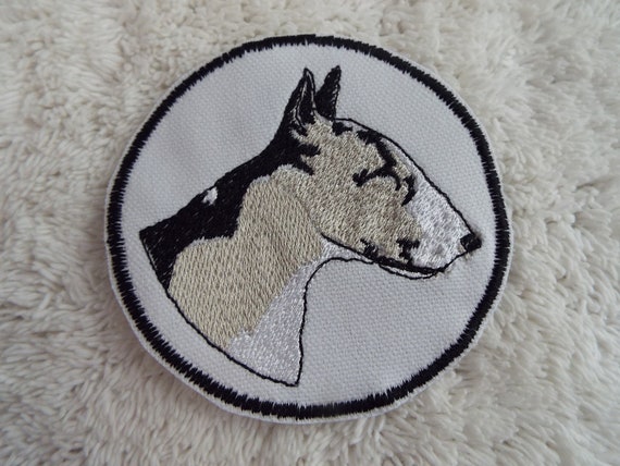 105 Nomi Per Cani Bull Terrier - Foto 10