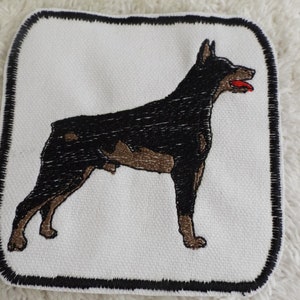 May include: Embroidered patch of a black and brown Doberman Pinscher dog with a red tongue sticking out. The patch is square and has a black border.