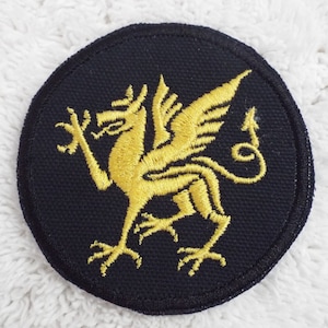 May include: A gold embroidered dragon on a black circular patch. The dragon has wings and a long tail.