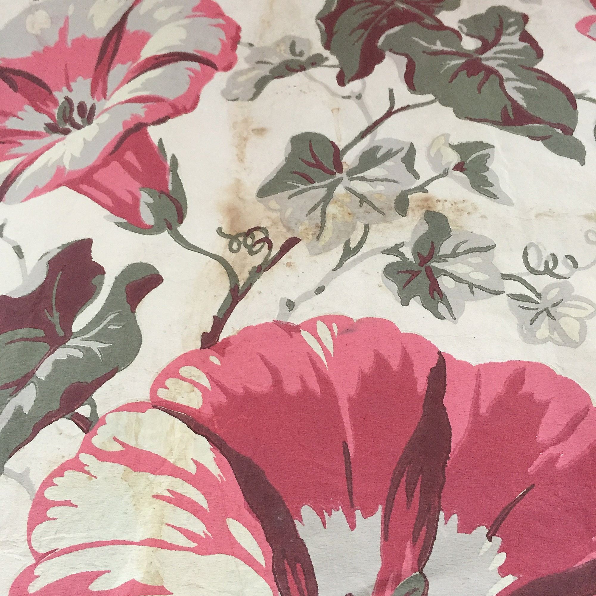 Paper Drapery Paper Drapery 1940s WWII Rationing Item. Morning Glory Motif. Two 28 X ...
