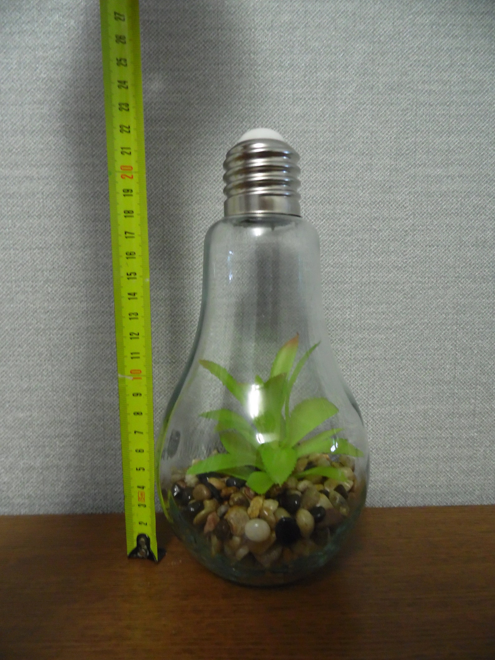 Eternal Terrarium Terrarium in a light bulb with Etsy