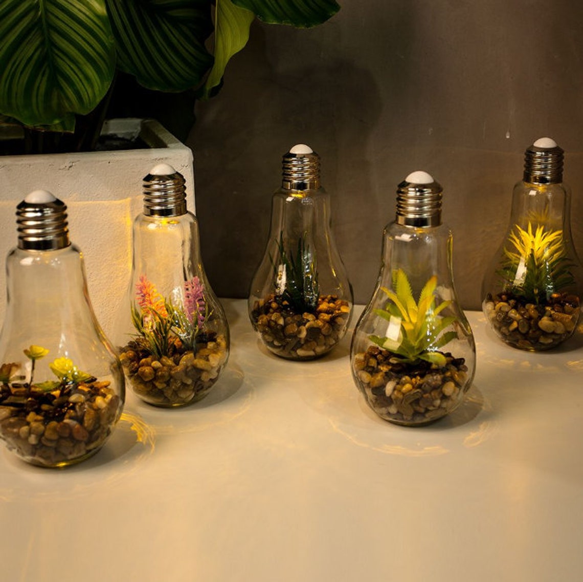 Eternal Terrarium Terrarium in a light bulb with Etsy