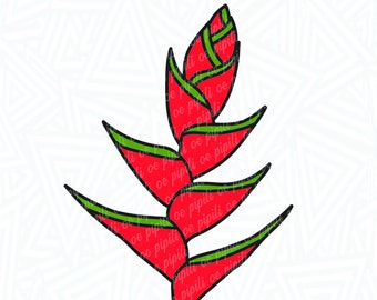 Heliconia SVG - Flower SVG - Tropical Flower SVG - Heliconia png - Plant svg - Flower png - Clip Art - Cutting File - Digital Download
