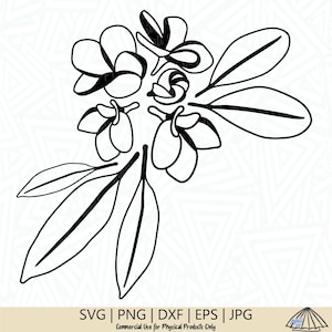 Plumeria SVG - Plumeria Plant SVG - Flower SVG - Plant svg - Plumeria - Flower and Leaves Svg - Hawaii svg - Digital Download