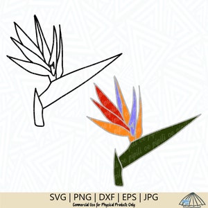 Oiseau de paradis SVG - SVG de fleurs - plante SVG - oiseau de paradis fleur svg - svg de fleurs tropicales - fichier coupé - Clip Art - téléchargement numérique