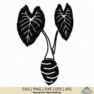 Taro Plant SVG - Plant SVG - Kalo SVG - Kalo Plant - Taro Plant - Kalo Cut File - Taro Cut File - Digital Download - Kalo Clip Art