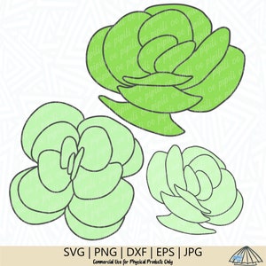 Ihi - Sukulent SVG - Roślina SVG - Sukulent SVG - Hawaje svg - Sukulent png - Sukulentny plik do cięcia - Sukulent Clip Art - Pobieranie cyfrowe