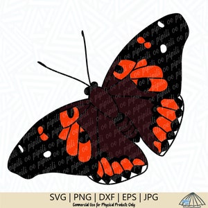 Roi Kamehameha papillon SVG - papillon SVG - papillon couper fichier - papillon Clip Art - Hawaii svg - papillon png - téléchargement numérique