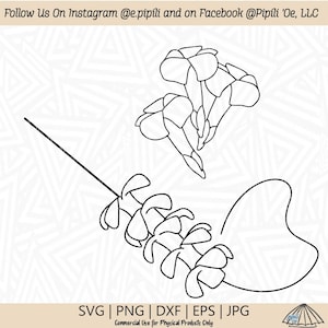 Puakenikeni Flower Lei Making SVG - Puakenikeni Flower SVG - Making Lei SVG - Digital Download - Flower Svg - Puakenikeni Clip Art - Png Dxf