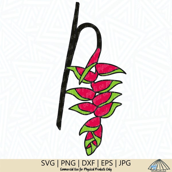 Hanging Lobster Claw Flower SVG - Heliconia SVG - Tropical Flower SVG - Png - Cutting File - Digital Download - Clip Art