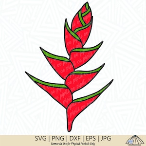 Heliconia SVG - Flower SVG - Tropical Flower SVG - Heliconia png - Plant svg - Flower png - Clip Art - Cutting File - Digital Download