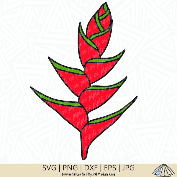 Heliconia SVG - Flower SVG - Tropical Flower SVG - Heliconia png - Plant svg - Flower png - Clip Art - Cutting File - Digital Download