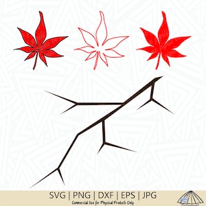 Japanische Ahorn SVG - Blatt SVG - Ahorn SVG - asiatische Svg - Blätter Svg - Ahorn ClipArt - Ahorn geschnitten Datei - digitaler Download