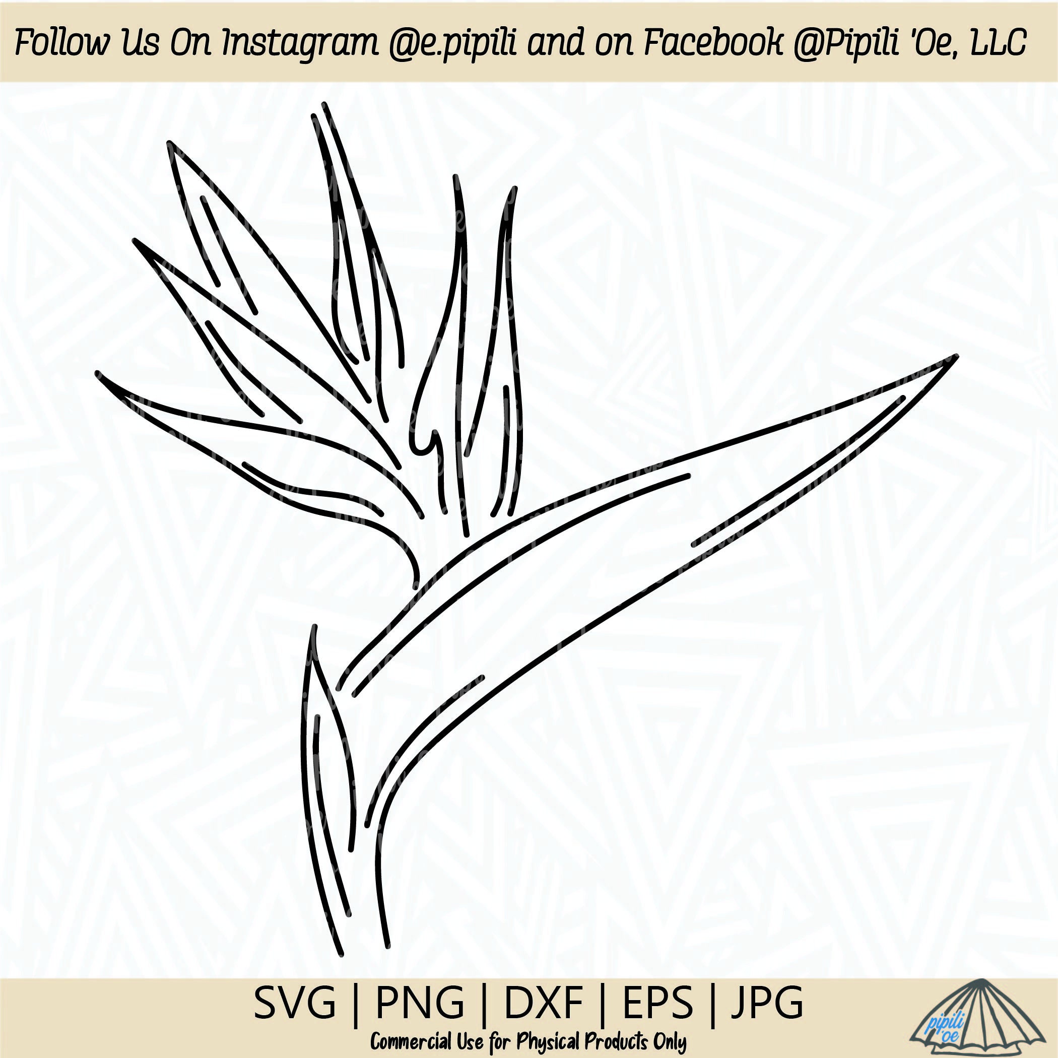 Bird Of Paradise Outline