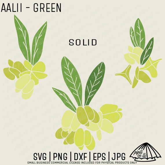 Aalii Plant - Green - SVG - Hawaiian Plant SVG - Hawaii SVG
