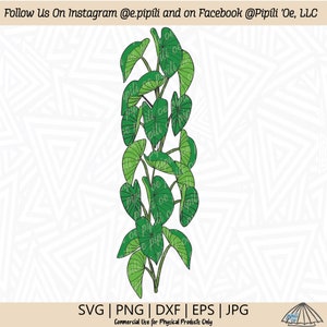 Kalo Plant Border Color SVG - Taro Plant SVG - Hawaii Plant SVG - Digital Download - Kalo Plant Png - Taro Plant Edge Dxf - Kalo Clip Art