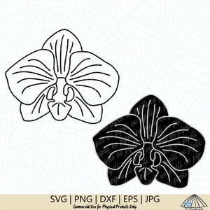 Orchid SVG - Flower SVG - Plant SVG - Orchid png - Orchid Cut File - Orchid Clip Art - Moth Orchid svg