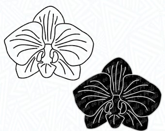 Orchid SVG - Flower SVG - Plant SVG - Orchid png - Orchid Cut File - Orchid Clip Art - Moth Orchid svg