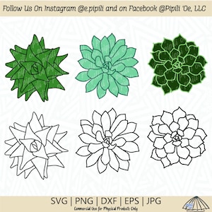 Sukkulenten SVG - Sukkulenten Clip Art - Sukkulenten Png - Digital Download - Pflanzen Svg - Zimmerpflanze SVG - Sukkulenten Dxf - Sukkulenten Eps