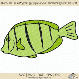 Manini - Convict Tang SVG - Fish SVG - Reef Fish SVG - Digital Download - Hawaii Reef Fish Svg - Fishing Svg - Ocean Fish Png - Clip Art