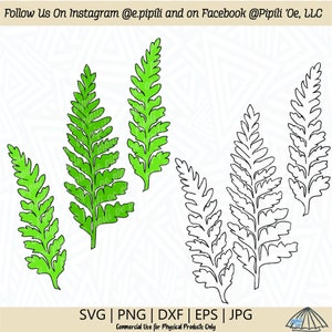 Palapalai - Helecho de encaje SVG - Planta SVG - Helecho SVG - Descarga digital - Planta de Hawái Svg - Svg hawaiano - Planta tropical Svg - Clip Art de helecho