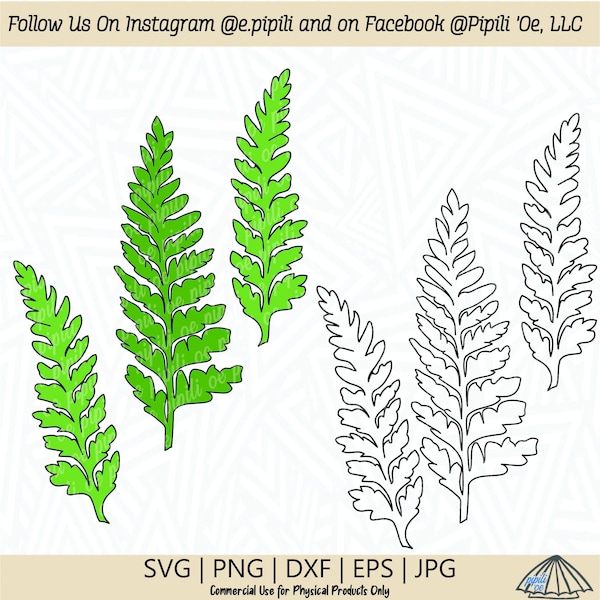 Palapalai - Lace Fern SVG - Plant SVG - Fern SVG - Digital Download - Hawaii Plant Svg - Hawaiian Svg - Tropical Plant Svg - Fern Clip Art