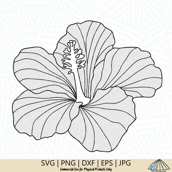 Hibiscus SVG Flower SVG Hibiscus Clip Art Hibiscus | Etsy