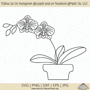 Potted Moth Orchid SVG - Orchid SVG - Flower SVG - Plant Svg - Hawaii Svg - Digital Download - Tropical Flower Svg