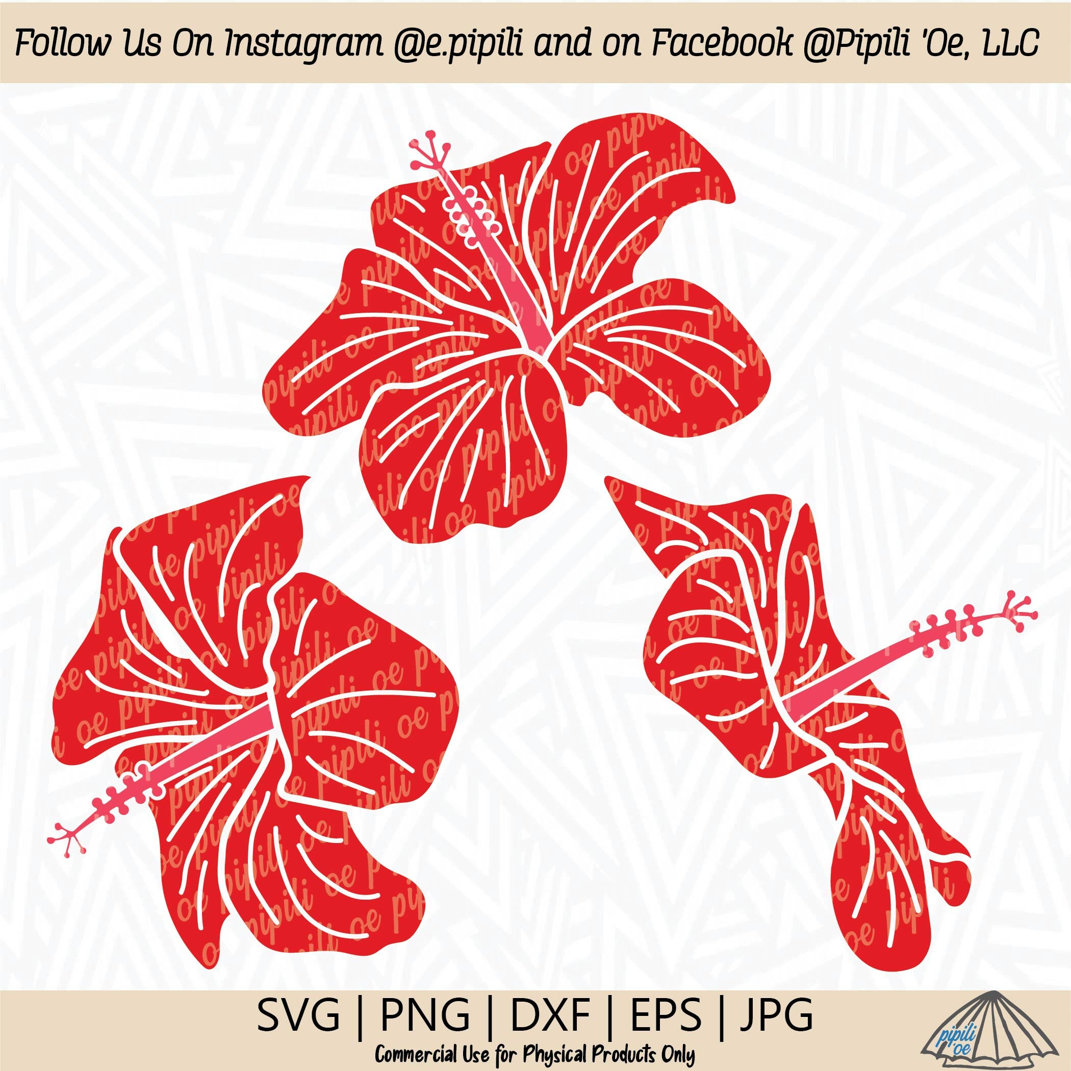 Hibiscus Flowers SVG - Hibiscus Clip Art - Digital Download - Hibiscus ...