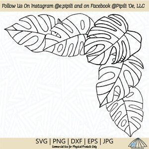 Op de afbeelding: Zwart-witte lijntekening van tropische monstera bladeren. De bladeren zijn in een hoekontwerp gerangschikt. De tekst "SVG | PNG | DXF | EPS | JPG" staat onderaan de afbeelding. De tekst "Commercieel gebruik voor fysieke producten alleen" staat onder de tekst van het bestandstype.